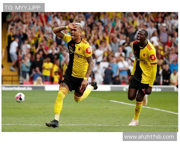 纽卡斯尔与沃特福德历史交锋数据分析与战绩回顾 纽卡斯尔与沃特福德历史交锋数据分析与战绩回顾